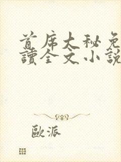 首席大秘免费阅读全文小说