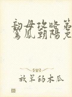 韵母攻略第二部鸾凤朝阳免费阅读封面