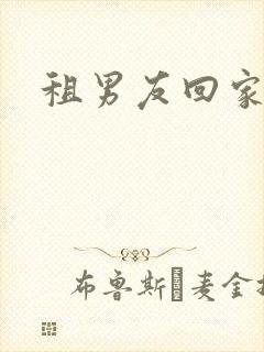 租男友回家过年封面
