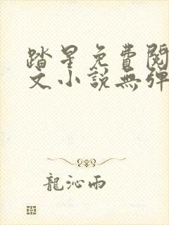 踏星免费阅读全文小说无弹窗