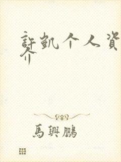 许凯个人资料简介