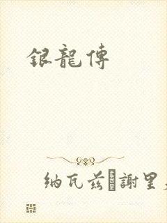 银龙传封面