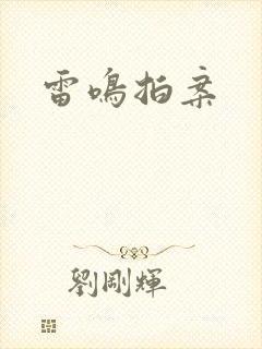 雷鸣拍案封面