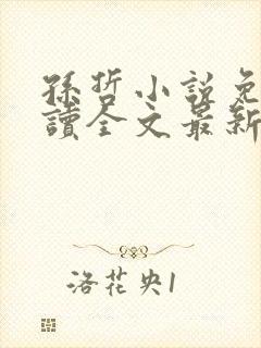 孙哲小说免费阅读全文最新章节封面