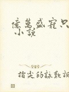 亿万盛宠只为你 小说封面