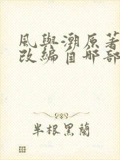 风与潮原著小说改编自哪部小说