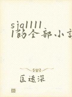 sjq11111的全部小说