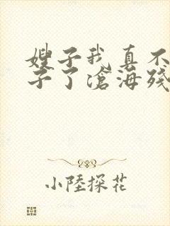 嫂子我真不是傻子了沧海残阳.全本免费阅读