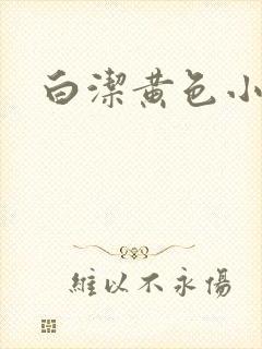 白洁黄色小说