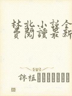 林北小说全文免费阅读最新章节