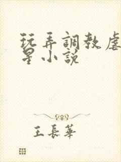 玩弄调教虐女明星小说封面