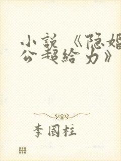 小说 《隐婚老公超给力》