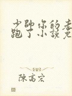 少帅你的老婆又跑了小说免费阅读封面