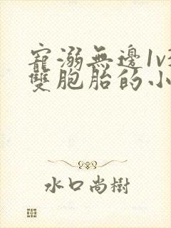 宠溺无边1v3双胞胎的小说