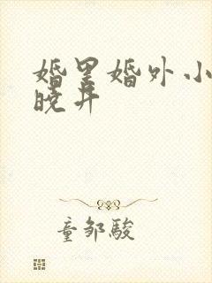 婚里婚外小说叶晓井