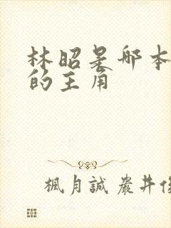 林昭是哪本小说的主角封面