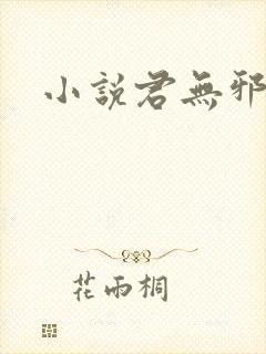 小说君无邪月瑶封面