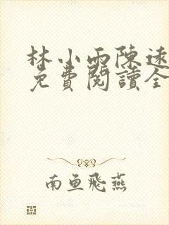 林小雨陈远小说免费阅读全文
