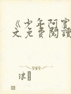 《少年阿宾》全文免费阅读