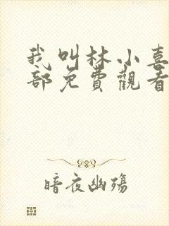 我叫林小喜第三部免费观看