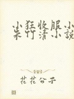 小狂收服小舞,朱竹清小说免费阅读