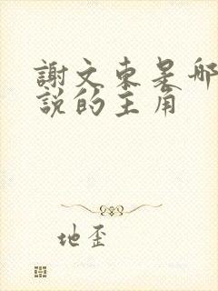 谢文东是哪部小说的主角封面