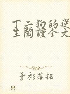丁二狗的逆袭人生阅读全文全文
