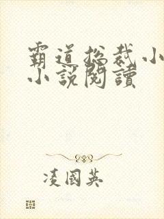 霸道总裁小娇妻小说阅读