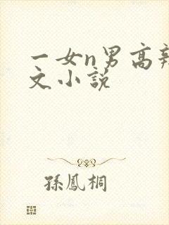 一女n男高辣h文小说