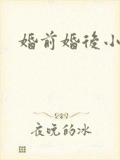 婚前婚后小说