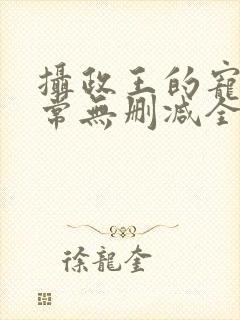 摄政王的宠妻日常无删减全本阅读