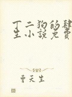 丁二狗的肆意人生小说免费