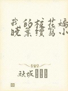 我的校花娇妻秦晓叶续写小说
