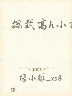总裁高h小说