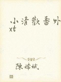 小清欢番外篇txt封面