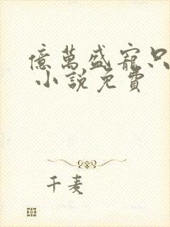 亿万盛宠只为你 小说免费