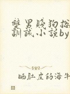双男贱狗总裁的训诫小说by