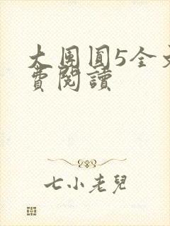 大团圆5全文免费阅读