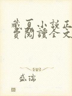 藏夏小说正版免费阅读全文无弹窗
