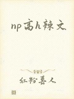 np高h辣文封面