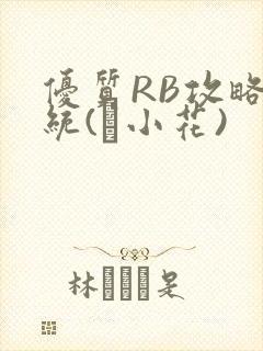 优质RB攻略系统(寀小花)封面