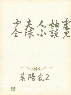 少夫人她震惊了全球小说免费阅读