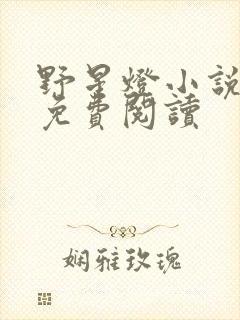 野星灯小说全文免费阅读