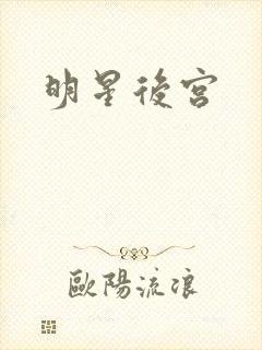 明星后宫封面