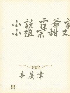 小说 霍爷家的小祖宗甜又野