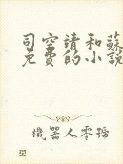 司空靖和苏月汐免费的小说笔趣阁