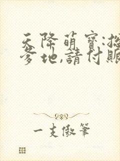 天降萌宝:总裁爹地,请付账小说
