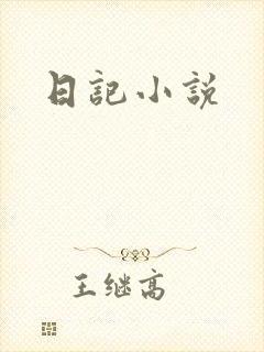 日记小说封面