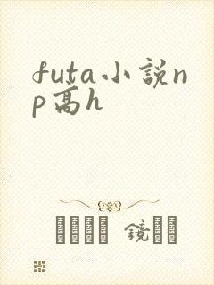 futa小说np高h
