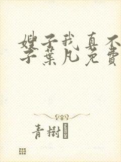 嫂子我真不是傻子叶凡免费下载封面